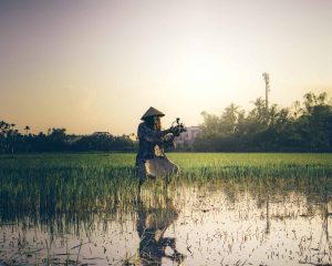 2024.10 tile picturesVietnam-3